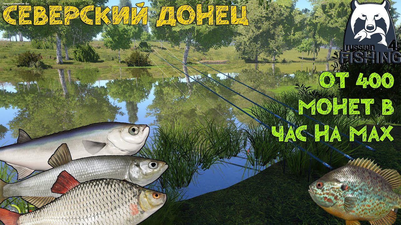 Русская Рыбалка 4. Донец. 400 монет на мах. Чехонь. Шемая.