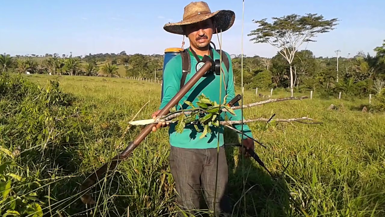 Como manter o pasto limpo!