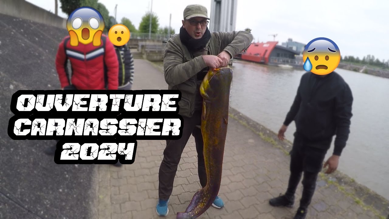 Ouverture Carnassiers 2024 | Silure | Pêche du silure du bord