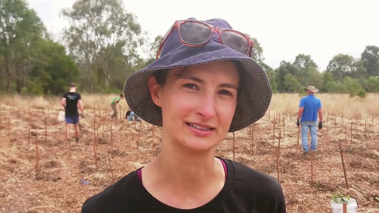 Oxley Creek Common: Corporate Volunteers