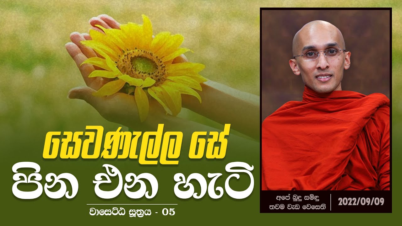 සෙවණැල්ල සේ පින එන හැටි (වාසෙට්ඨ සූත්‍රය 05) | අපේ බුදු සමිඳු තවම වැඩ වෙසෙති (2022-09-09)