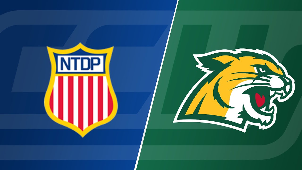 USA Hockey at Northern Michigan Highlights 10/15/21