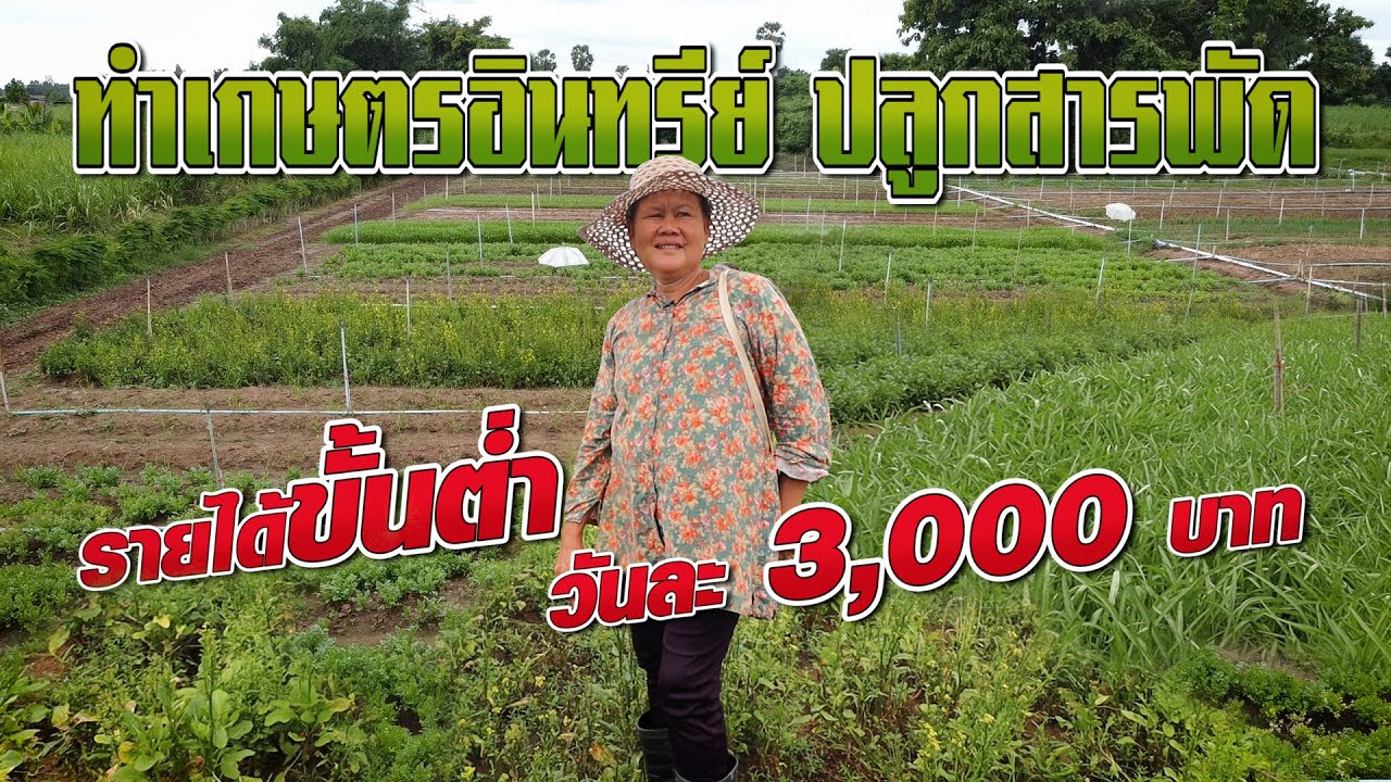 ทำเกษตรอินทรีย์ ปลูกสารพัดรายได้ขั้นต่ำวันละ 3,000 บาท #เกษตรอารมณ์ดี