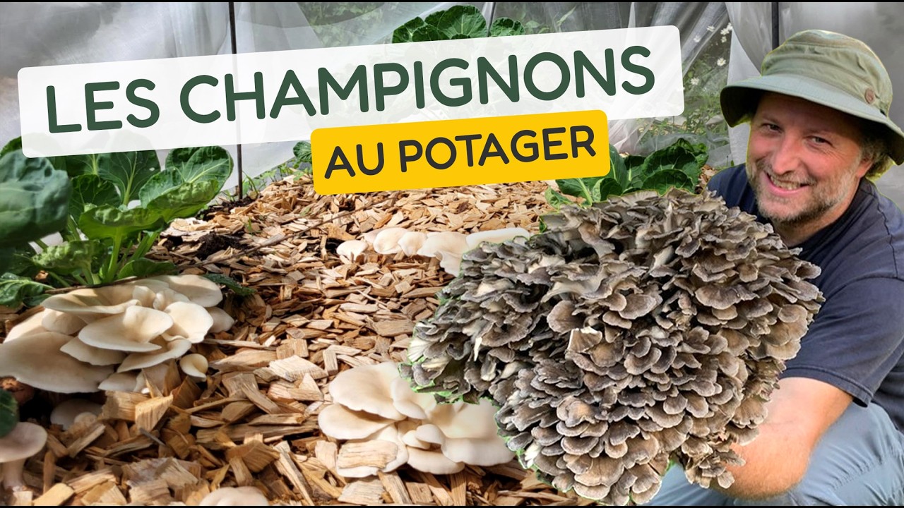 Les champignons au potager avec Vincent Leblanc
