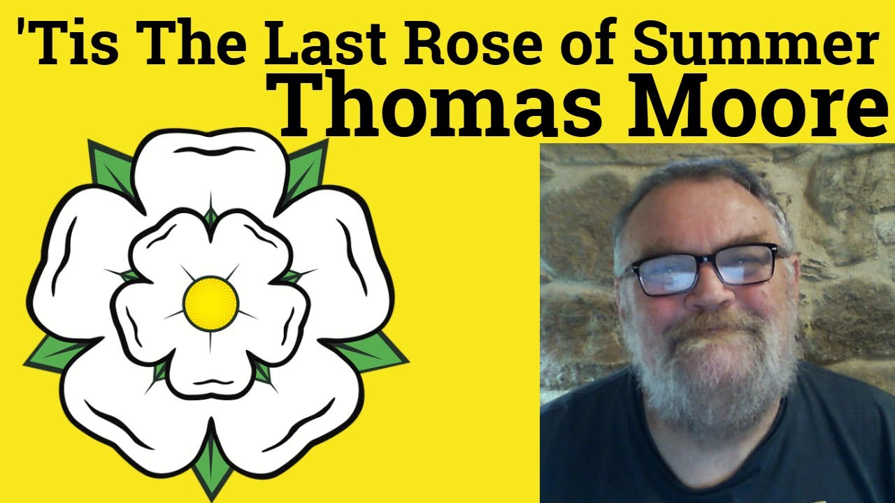😎 The Last Rose of Summer by Thomas Moore Analysis - Last Rose of Summer Thomas Moore Summary