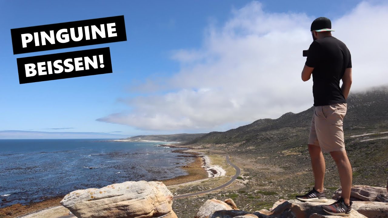 PINGUINE AM BOULDERS BEACH, KAP DER GUTEN HOFFNUNG UND CHAPMAN'S PEAK - WELTREISE VLOG: KAPSTADT