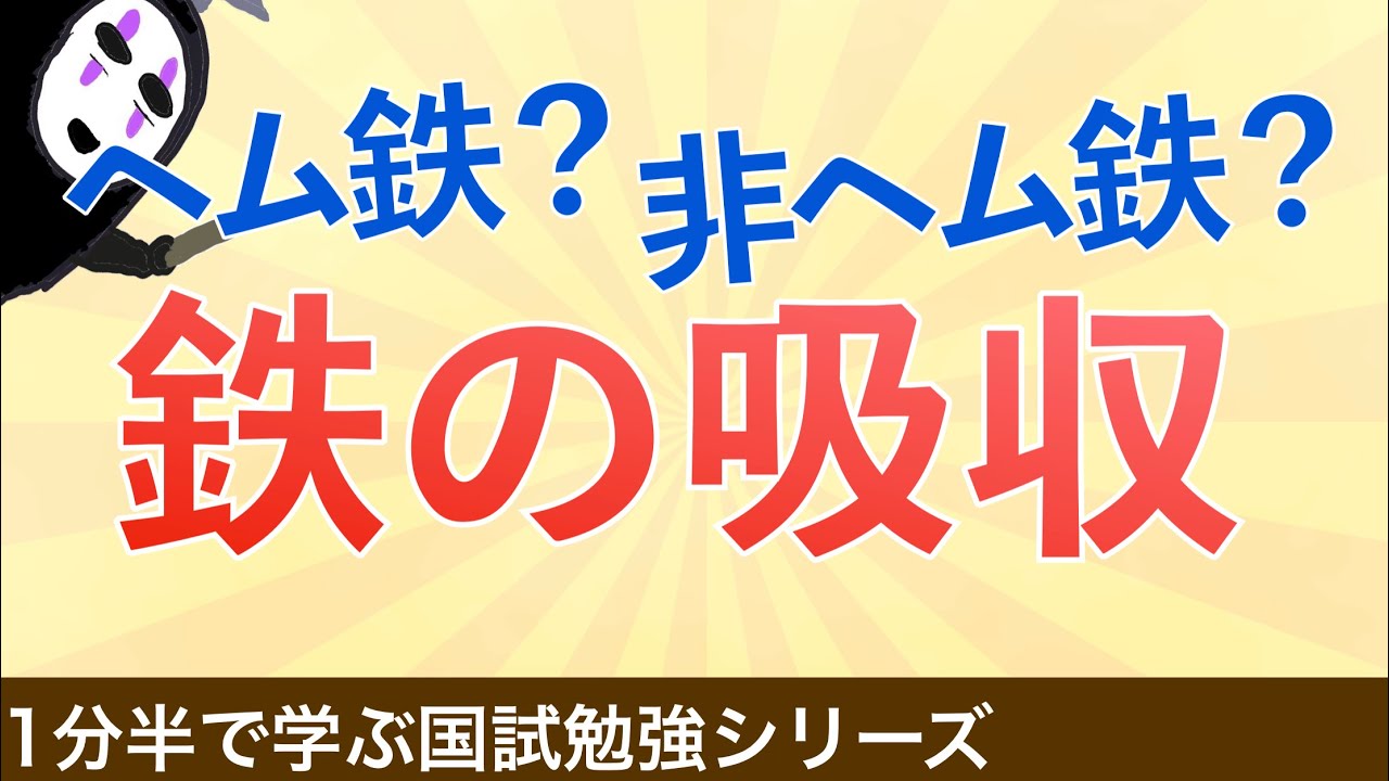 1分半で学ぶ国試勉強シリーズ「鉄の吸収メカニズム」ヘム鉄と非ヘム鉄の違いとは