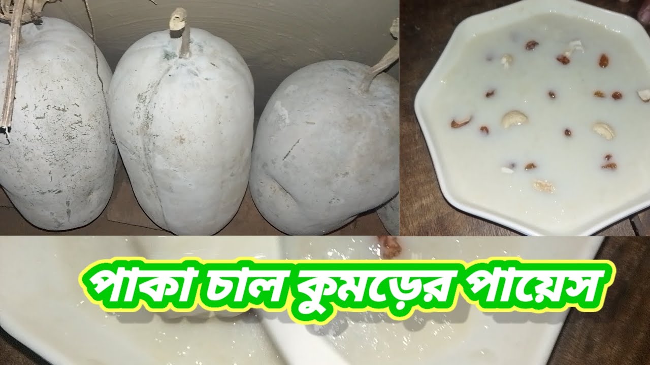 পাকা চাল কুমড়োর পায়েস / Talha today vlogs 
