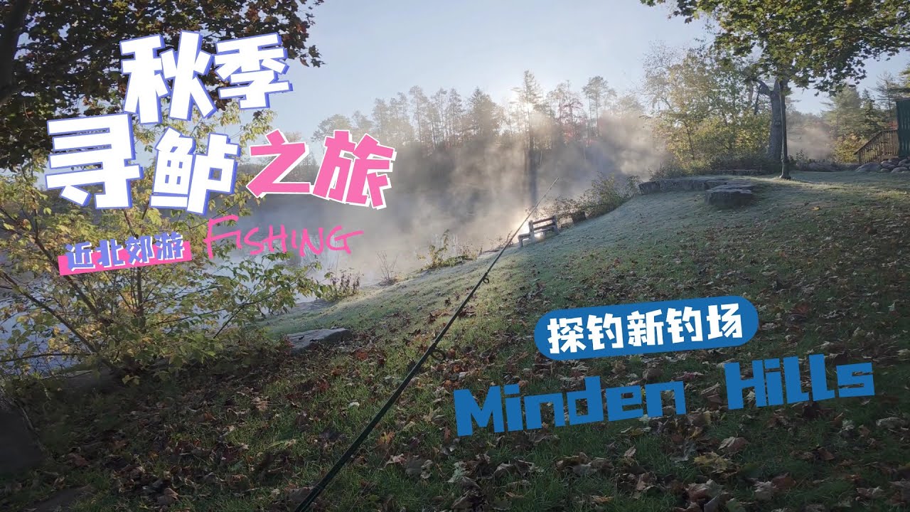 细竿小饵再度救场南鸟天 | 美丽秋季探钓明顿山