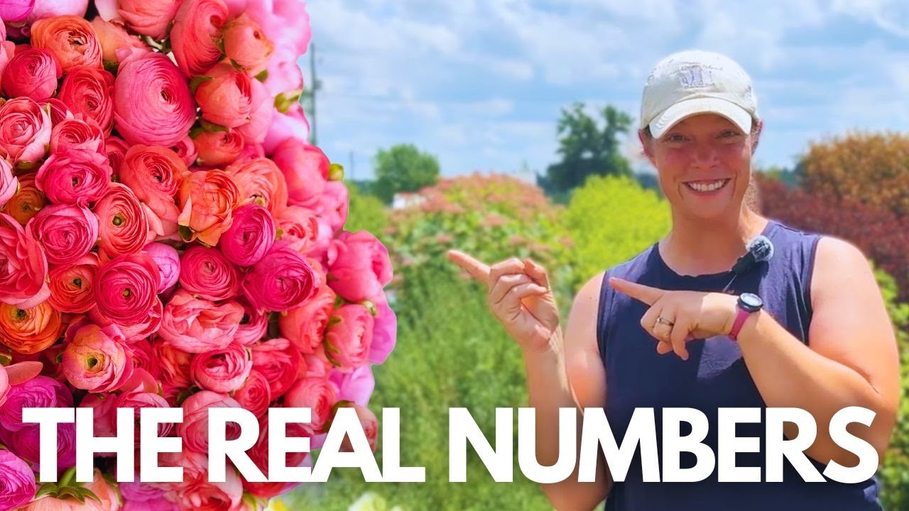 How I Made $6,180 Selling Ranunculus