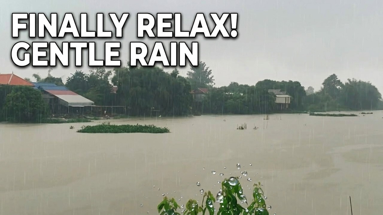 1 Hours of Gentle Rain Ambience for Sleep, Stress Relief & Relaxation