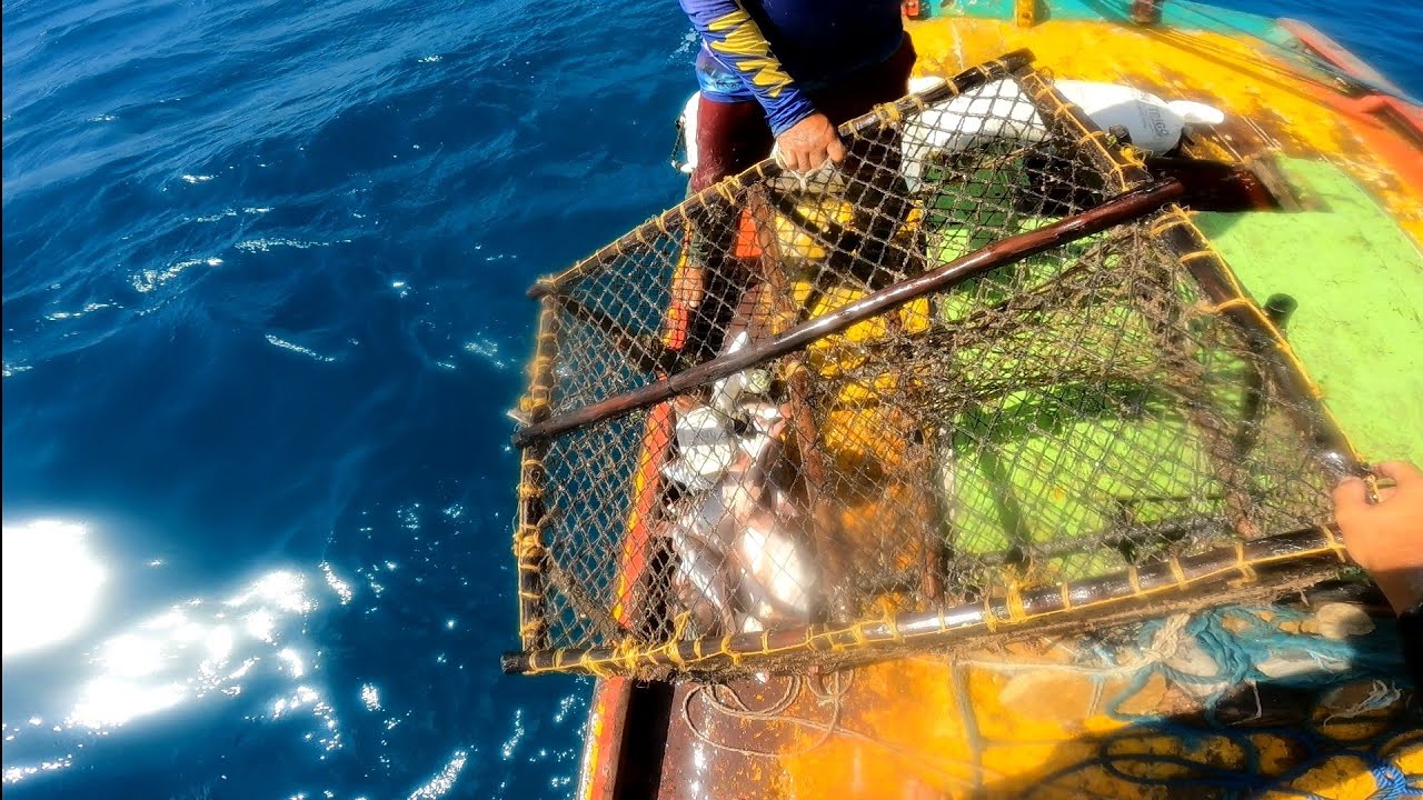 DESPESCA DAS ARMADILHAS COVOS PRA PEIXE NO MAR, DOIS ESTAVAM BONS !!!