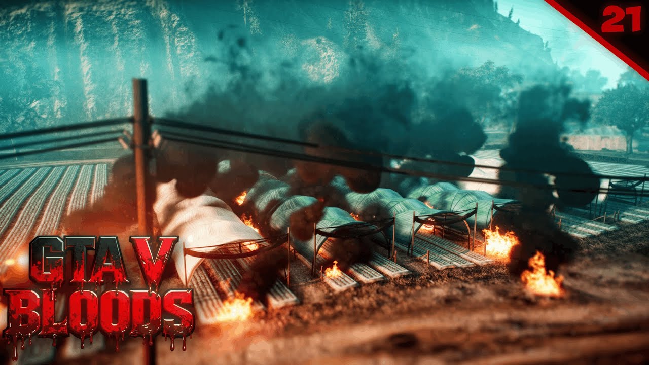 GTA V BLOOD$ 2 #21 SPALILIŚMY FARMĘ ?!