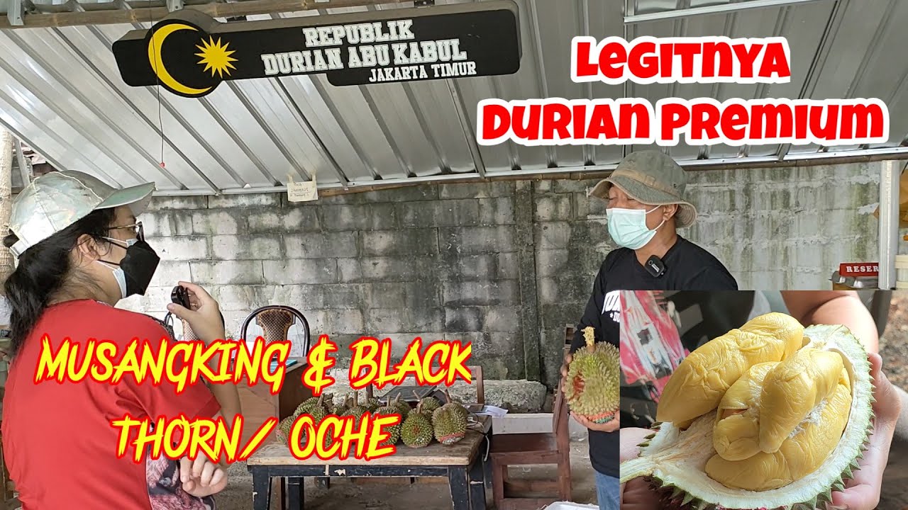 Legitnya Durian Premium | Musangking & Black Thorn/OCHE | Republik Durian Abu Kabul | Jakarta Timur