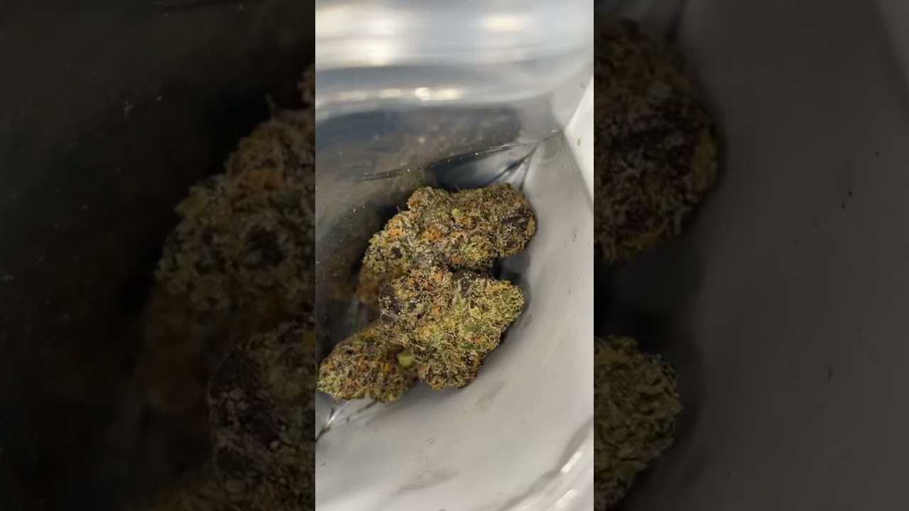 Big Als &bull; Blue Crushers (Gushers 4.0) &bull; Strain Review #CaliPacc🔥🔥🔥🔥
