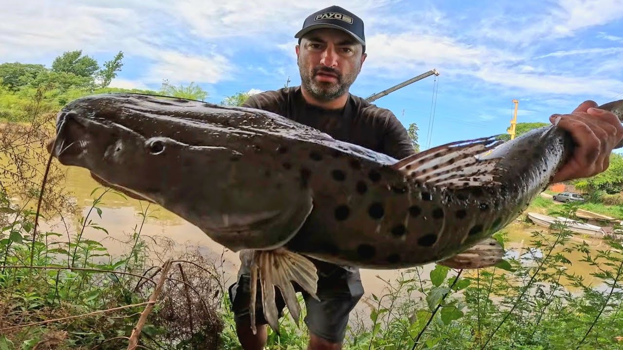 PESCA ILEGAL? Pescando Surubíes y Dorados en Veda con REDES y Cañas de pesca | Pesca Urbana