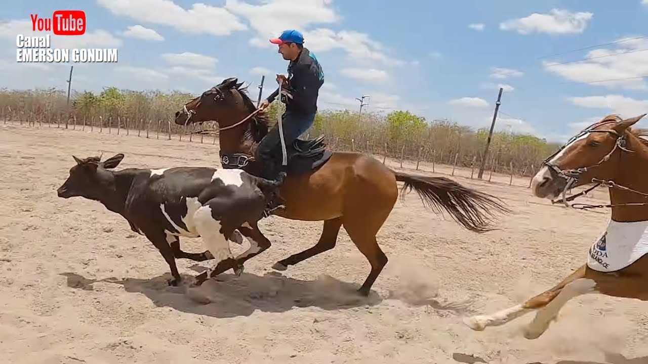 RESENHA - BOLÃO DE VAQUEJADA NO SITIO VOLTA (PARTE 01 )