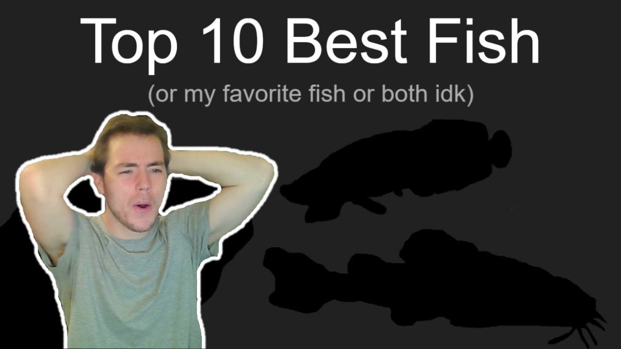 Top 10 Best Fish