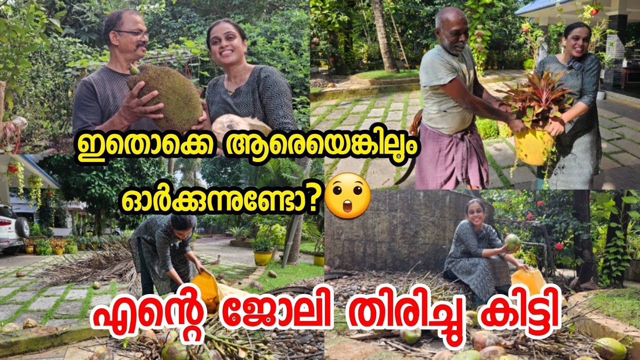 എന്റെ ജോലി തിരിച്ചു കിട്ടി💃🥰 | A day in my life | Malayalam Vlog | Breakfast - Lunch Recipes