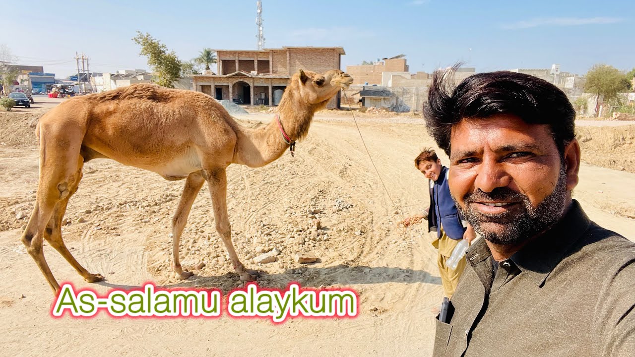 A check comment say Aapki Aur Meri Izzat