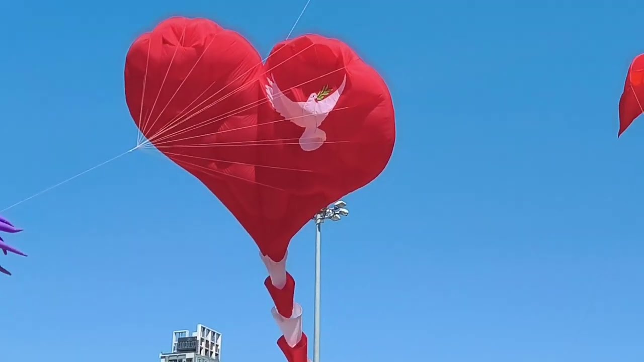 Flying kites 