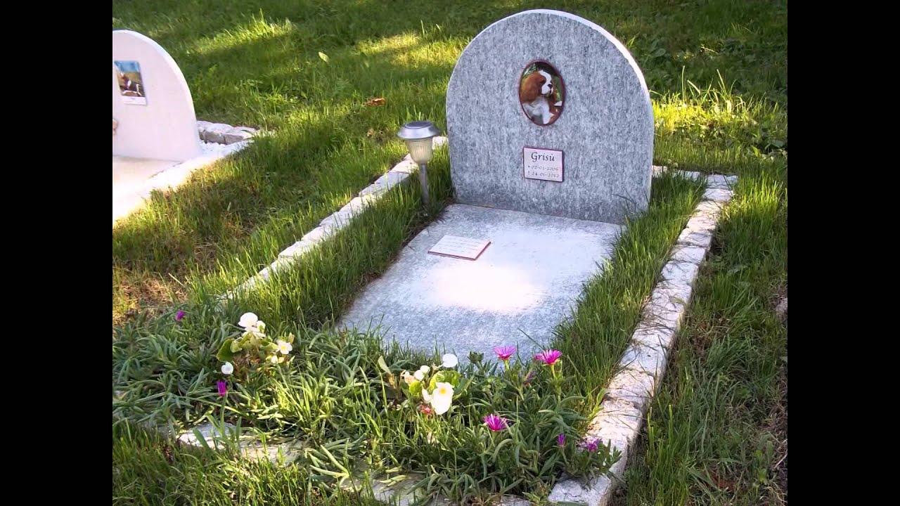 cimitero per animali 2014