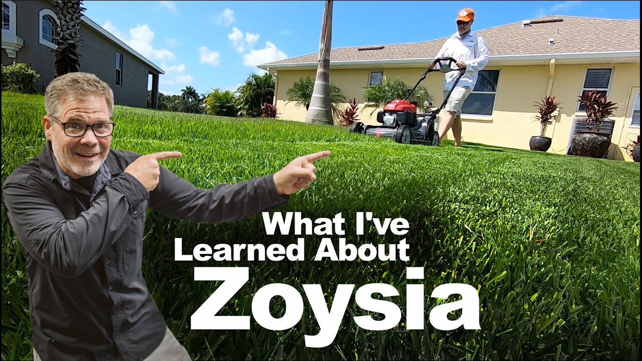 Top 5 Reasons Why I Love Zoysia Grass