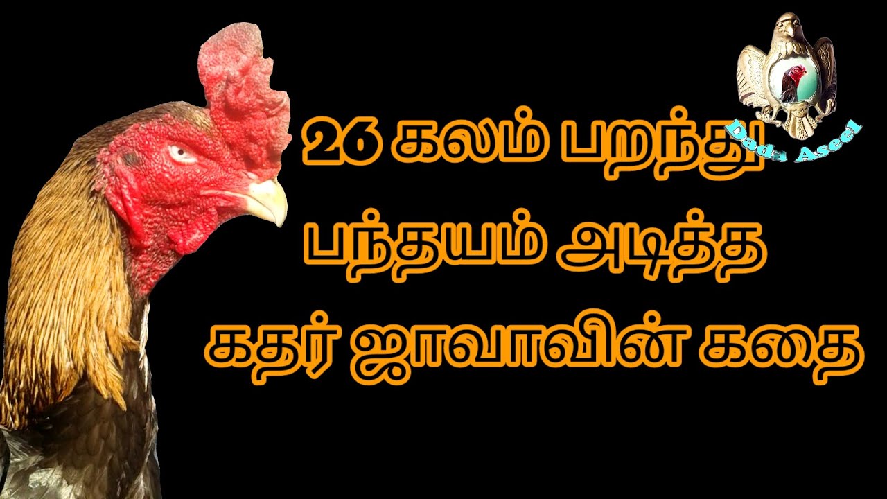 26 களம் பறந்து பந்தயம் அடித்த கதிர் ஜாவாவின் கதை