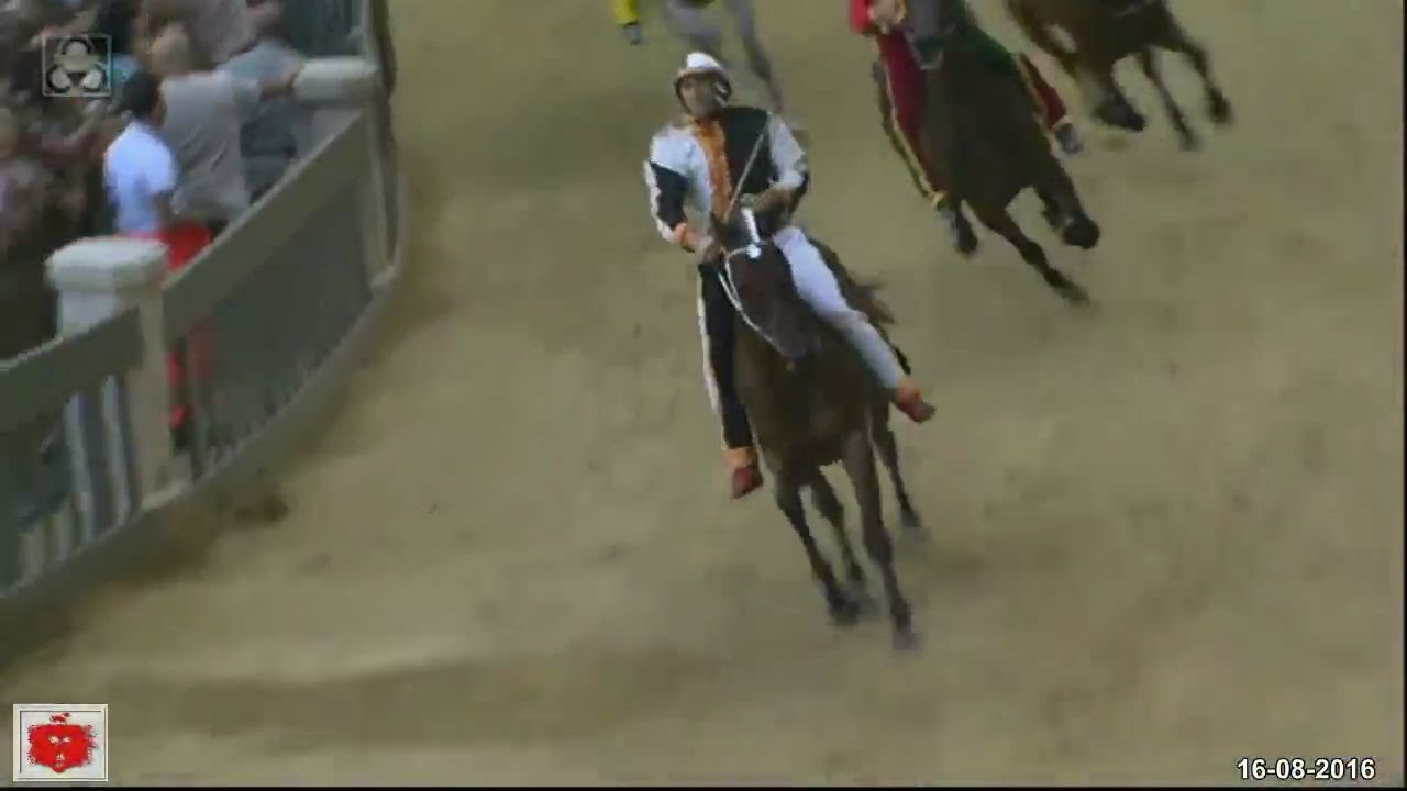 Palio di Siena 16 Agosto 2016 Vince la LUPA Palio dell'Assunta