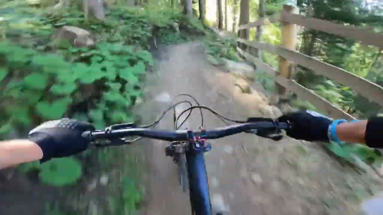 Le Moleson bikepark Modzon trail (blue line)