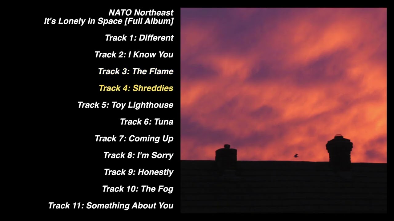 NATO Northeast - It's Lonely In Space [Full Album]