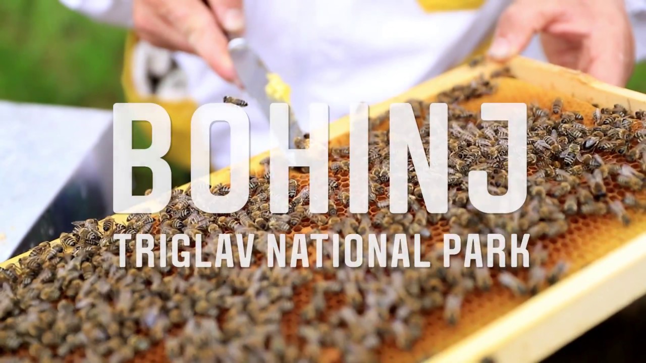 Bohinj in bloom