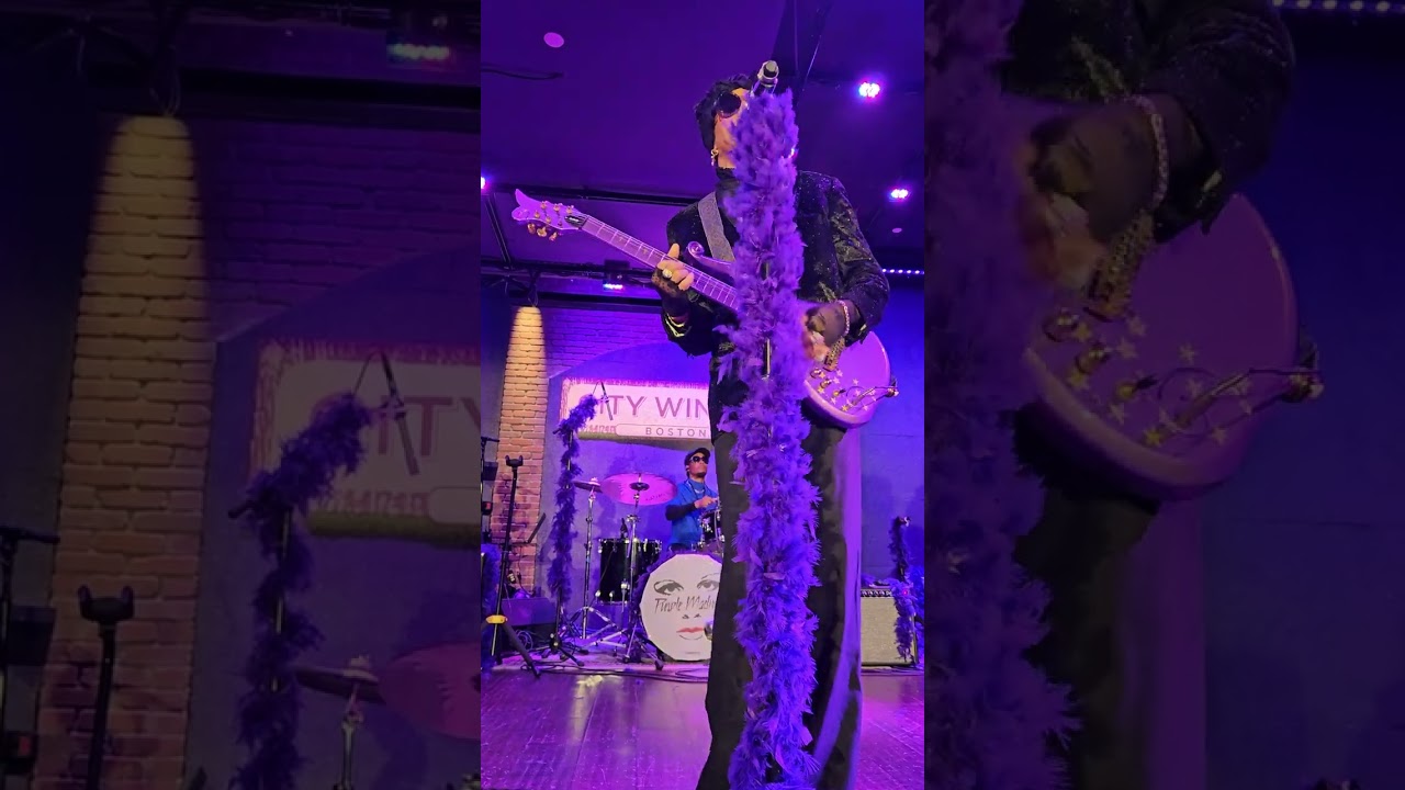Purple Madness - Prince Tribute Band, Bobby Miller - Controversy, Live Concert 