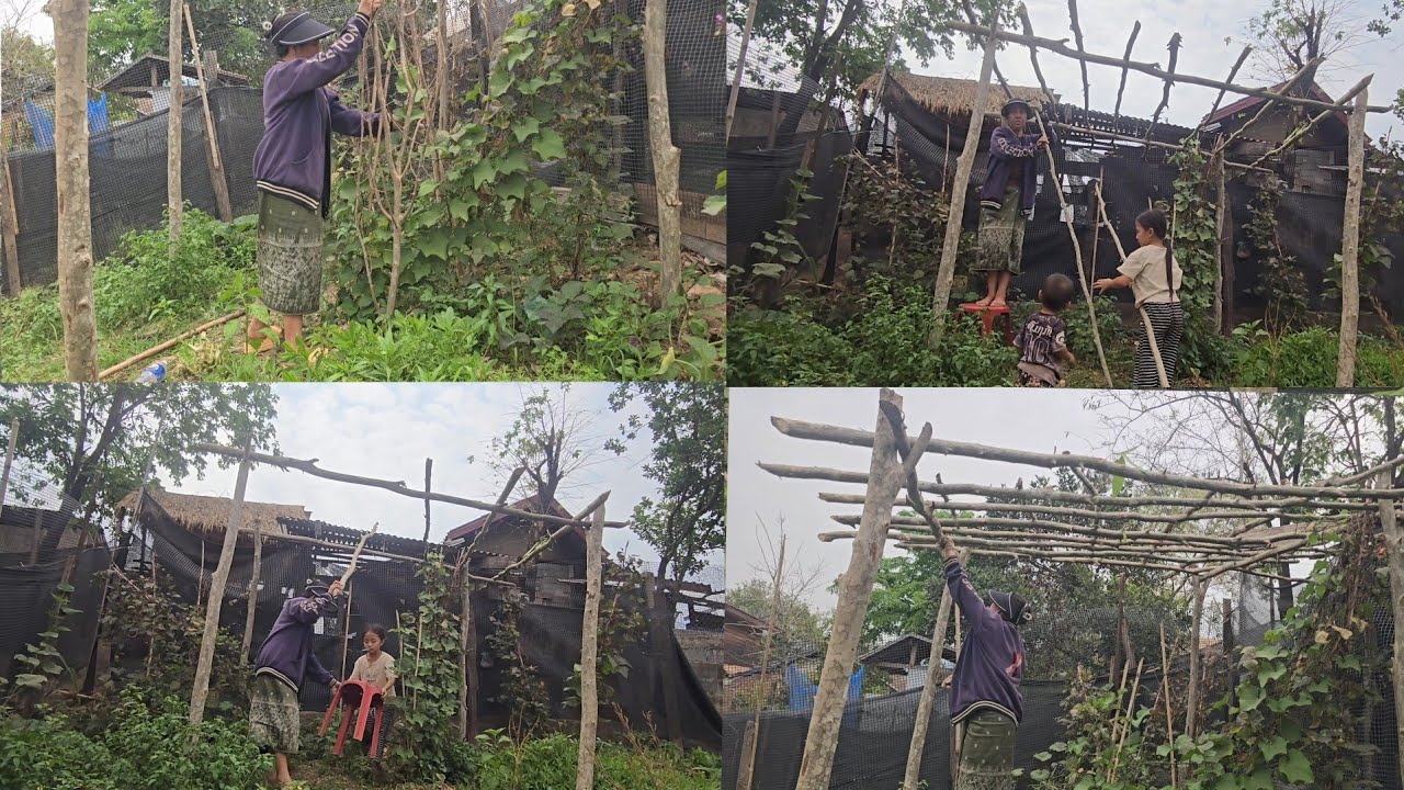 Hnub no yuav los ua lub lawj rau kuv tsob taub maum nawb 12/3/2026