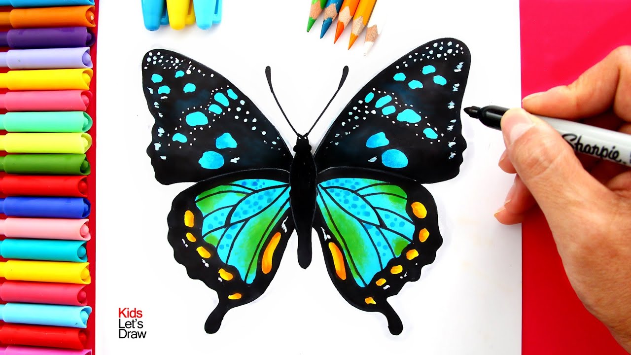 Aprende a dibujar una MARIPOSA de aspecto Real (proceso completo)