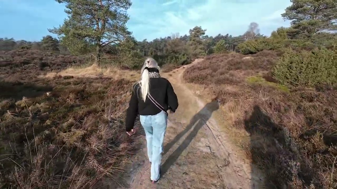 Wandeling in Vierhouten, Mosterdveen 
