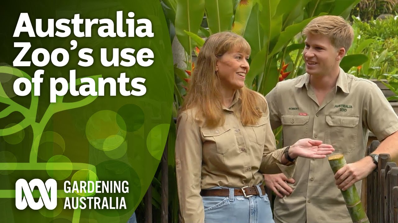 Terri and Robert Irwin explain why plants are essential to Australia Zoo | Gardening Australia