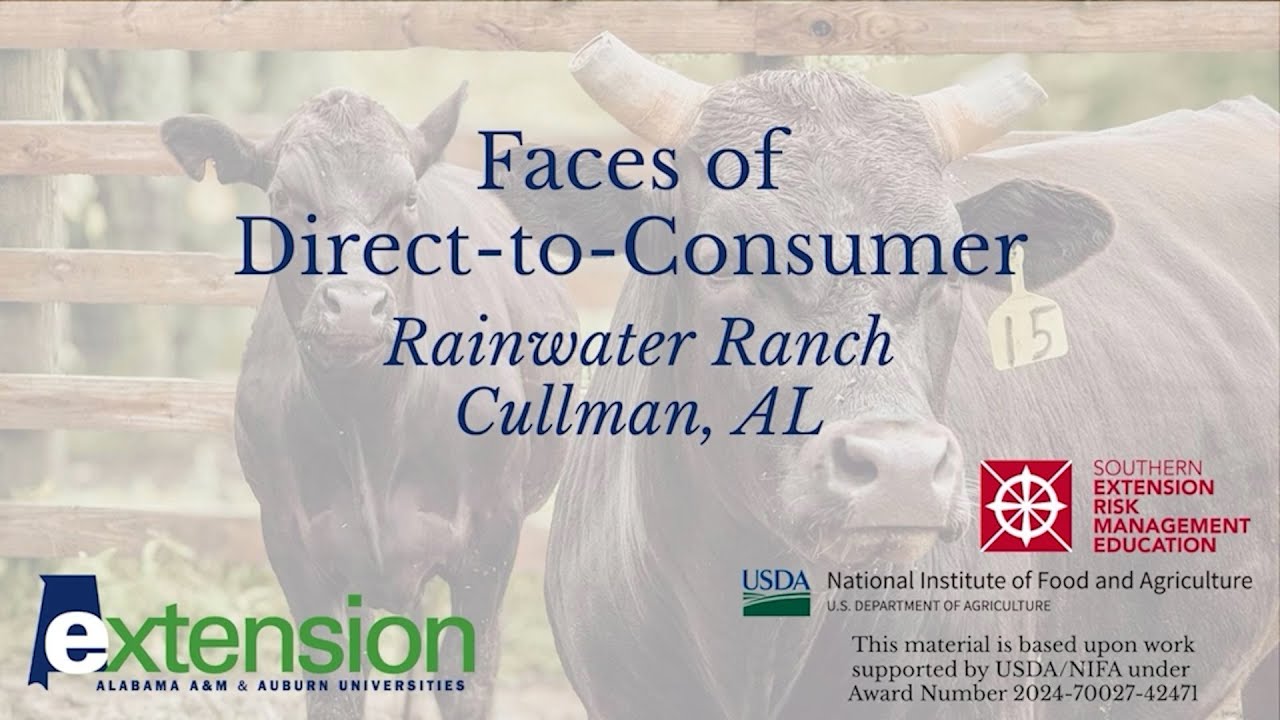 Marketing Tools for Livestock Producers: Profile of Rainwater Ranch