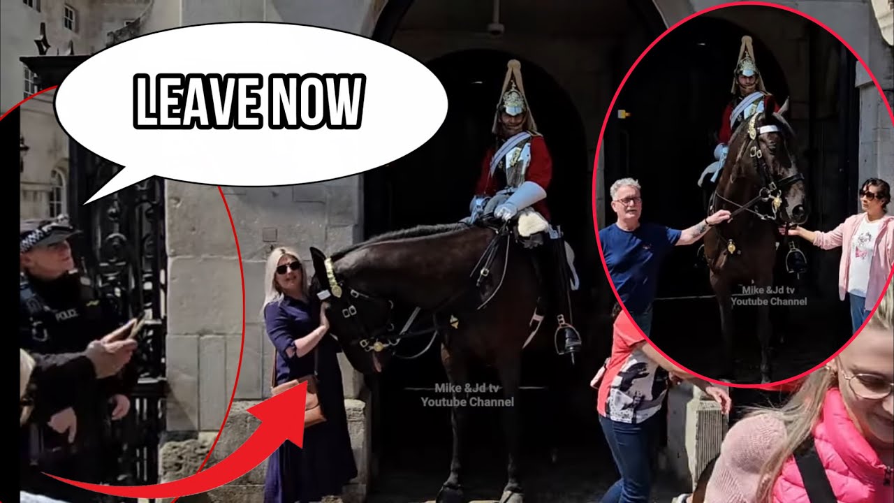 Armed Police Confront Tourist! Leave The Horse Alone! Man Pulls the , King’s Guard!