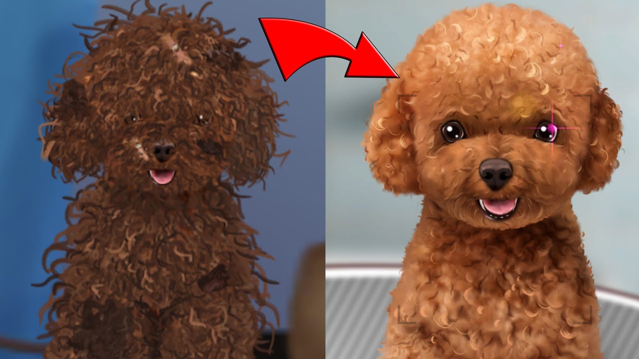 Homeless puppy transformation ear cleaning | tick removal | dog grooming  