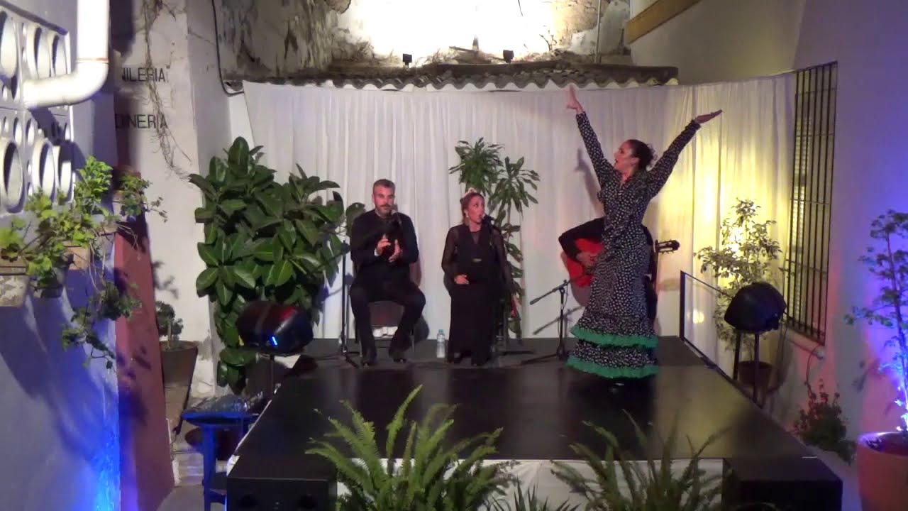 BEATRIZ RIVERO, Peña Flamenca Alto de la Fuente (Gelves) TARANTO