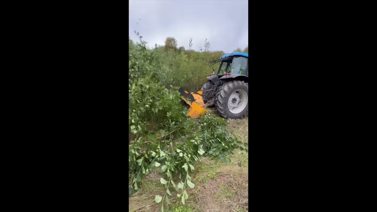 Anmach - karczowanie mulczerem leśnym