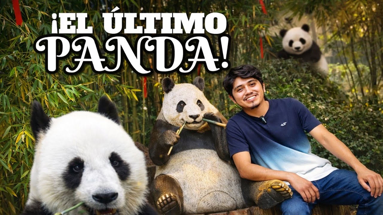 Asi es el Zoológico de Chapultepec en CDMX