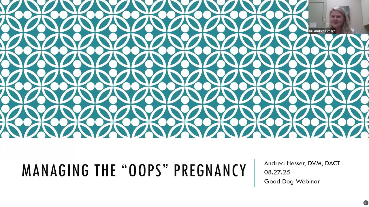 Good Dog Webinar: Managing the ‘Oops’ Pregnancy