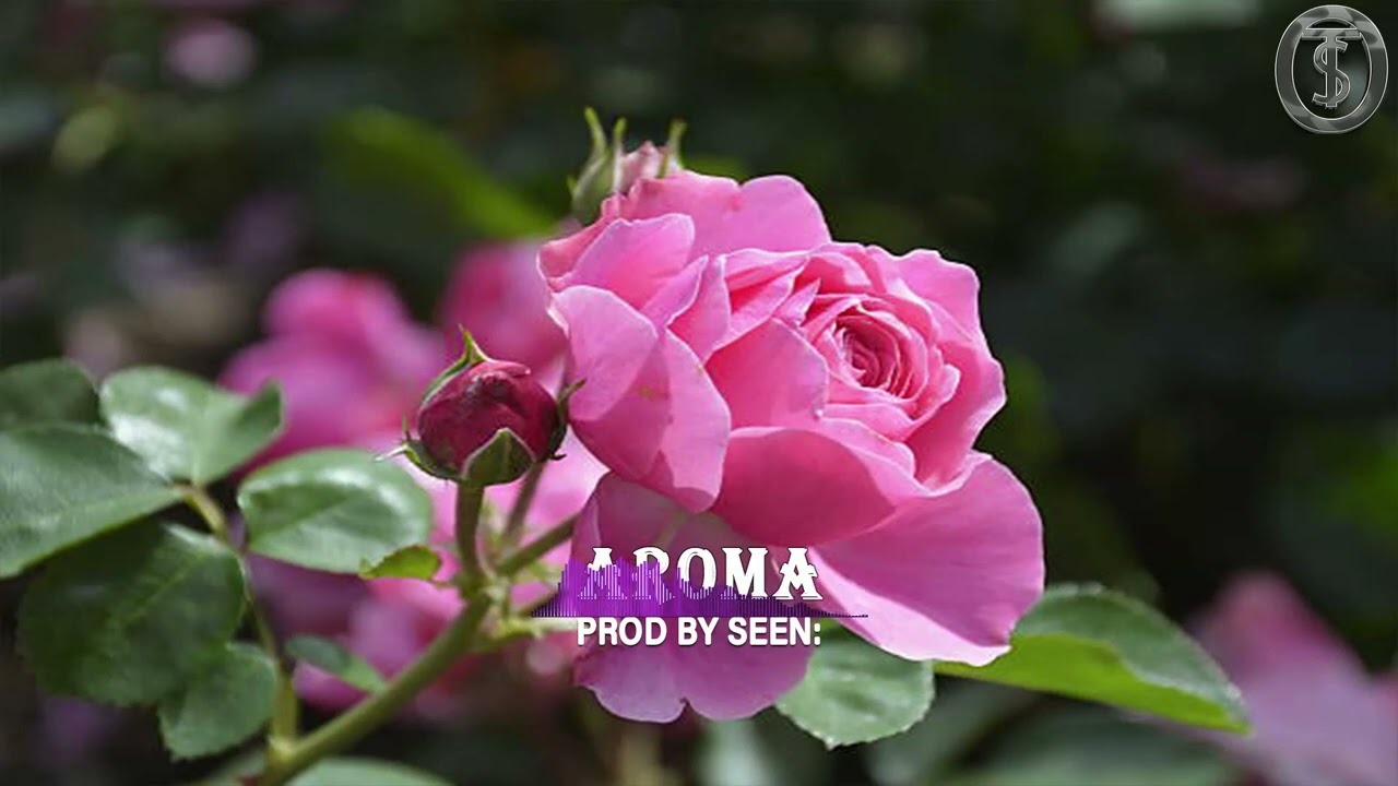 AROMA - FREE AFROBEA X AFROZOUK X BONGO FLEVA TYPE BEAT