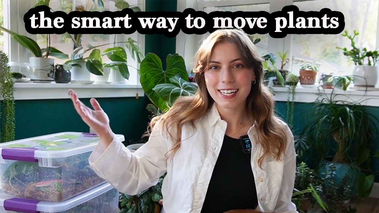 The ultimate guide to moving with plants (across the country)