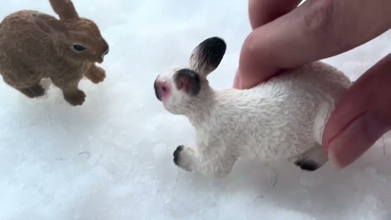 A Rabbit Story / animal story