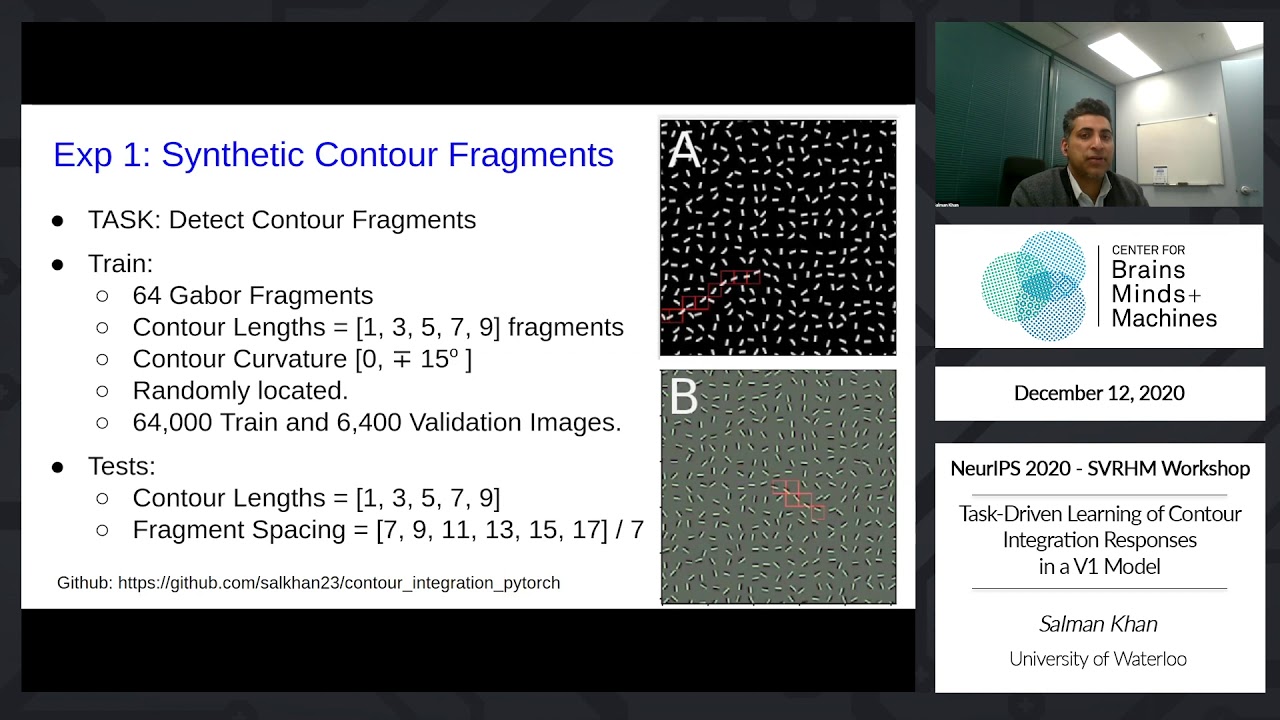 Task-Driven Learning of Contour Integration Responses in a V1 Model