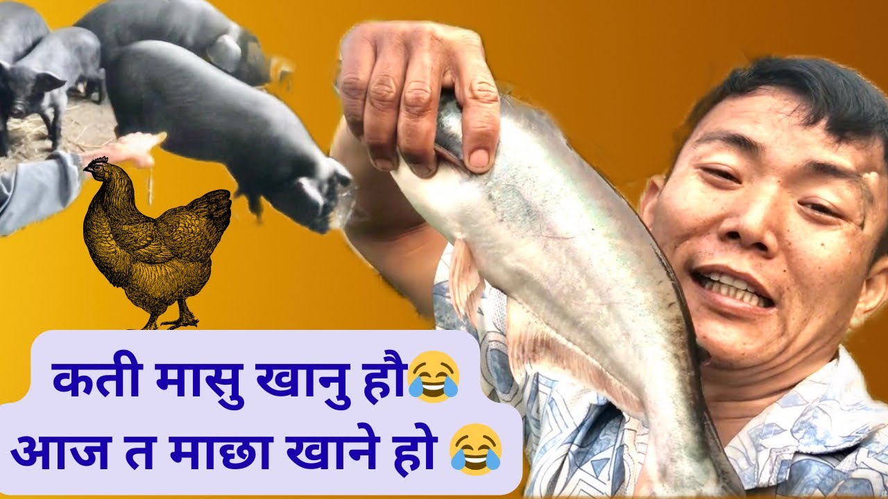 कती मासु खानु हौ😂आज त माछा खाने हो 😂😂16 February 2026
