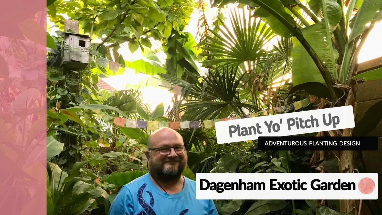 Dagenham Exotic Garden - Secrets & Inspiration of a UK Jungle Garden